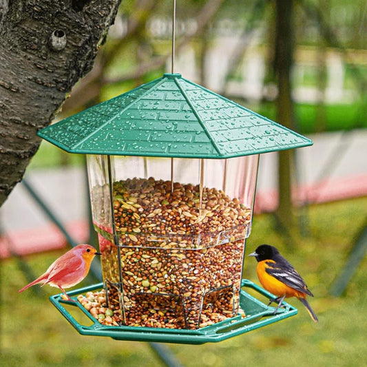 Mangeoire à Oiseaux – Attirez les Oiseaux dans Votre Jardin
